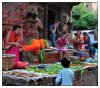 10/kathmandu  317 (Small).jpg